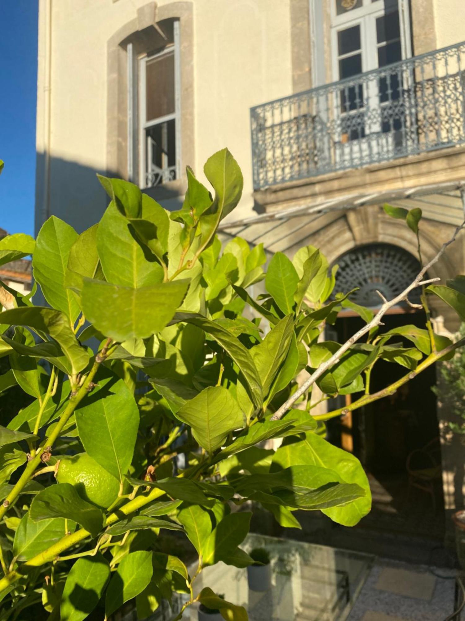 Aspiran Le Jardin酒店 外观 照片